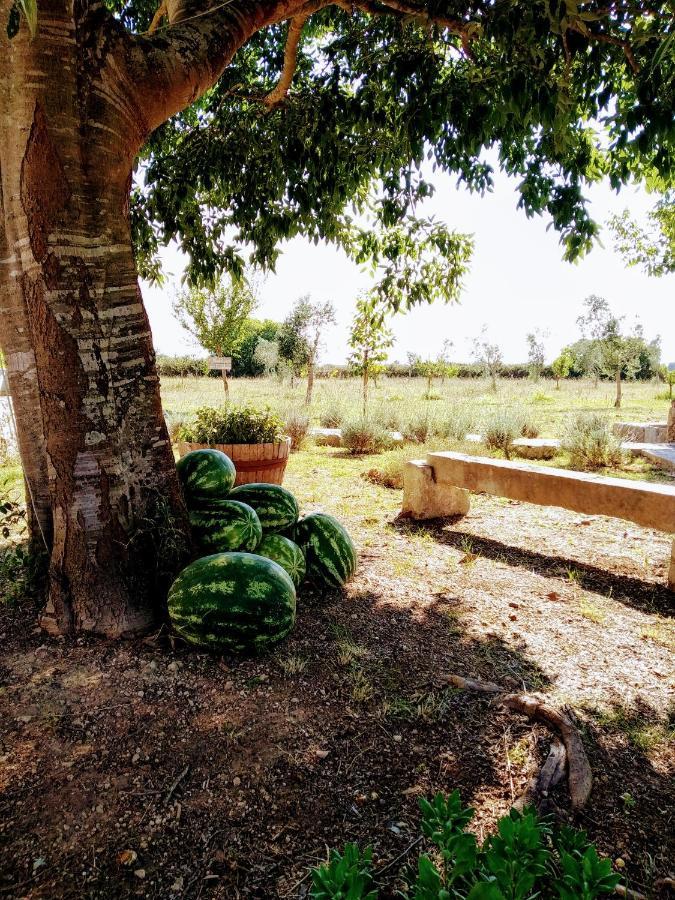 Masseria Cataldo Corigliano dʼOtranto Dış mekan fotoğraf